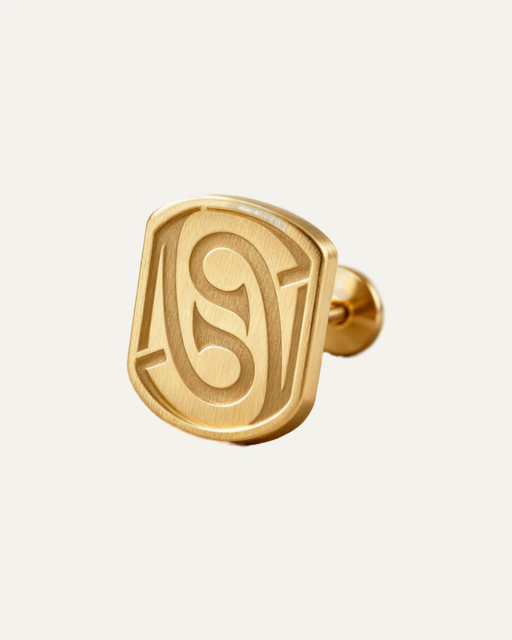 The Aurmpex a pair Earring